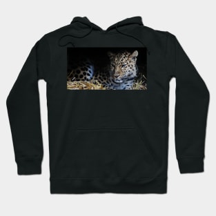 Ol` Blue Eyes Hoodie